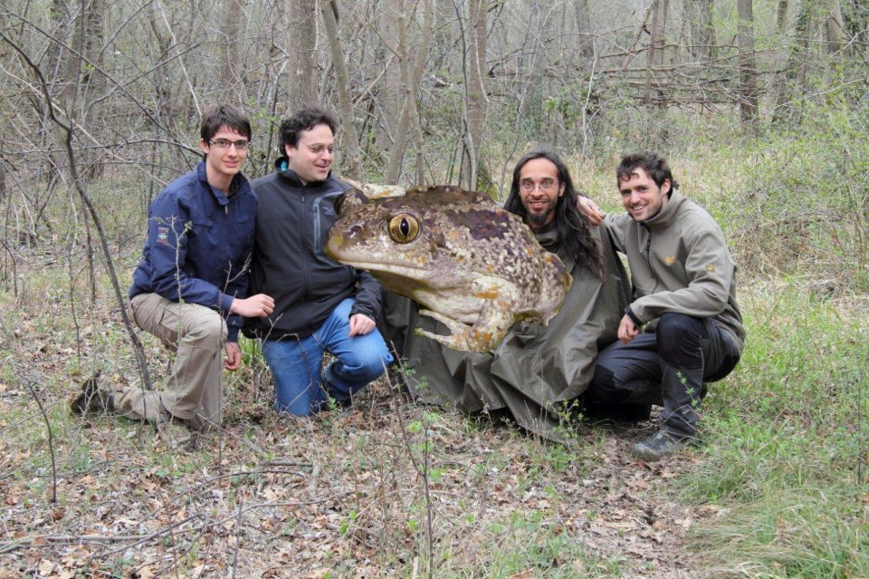 Insieme nel Parco del Delta del Po, probabilmente